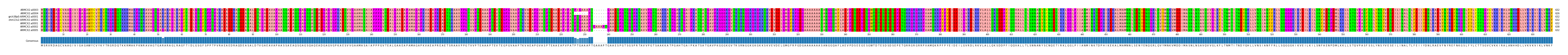 Multiple Alignments (by translate haplotype similarity)