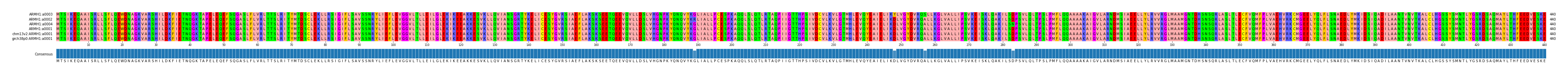 Multiple Alignments (by translate haplotype similarity)