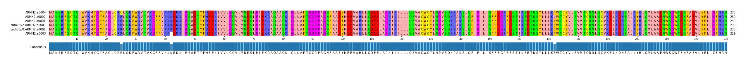 Multiple Alignments (by translate haplotype similarity)