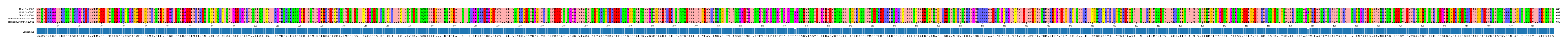 Multiple Alignments (by translate haplotype similarity)