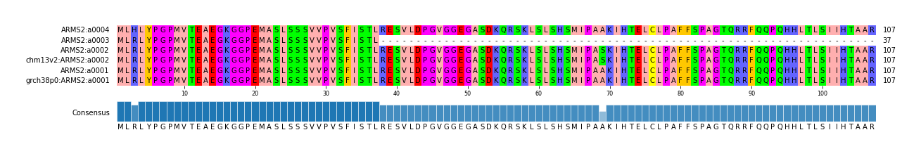 Multiple Alignments (by translate haplotype similarity)