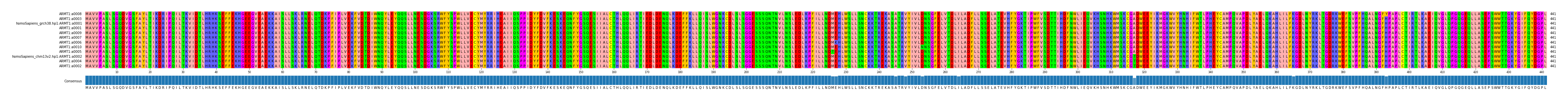 Multiple Alignments (by translate haplotype similarity)