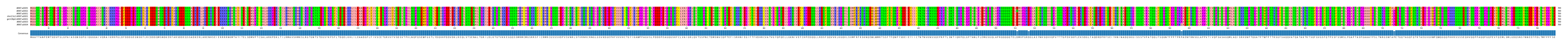 Multiple Alignments (by translate haplotype similarity)