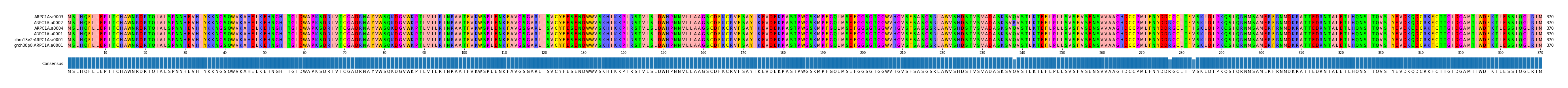 Multiple Alignments (by translate haplotype similarity)