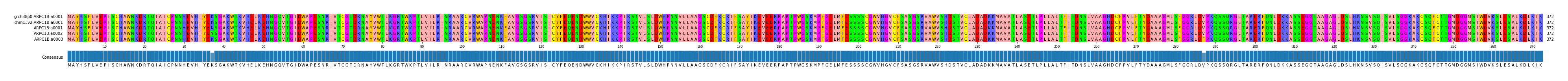 Multiple Alignments (by translate haplotype frequency)