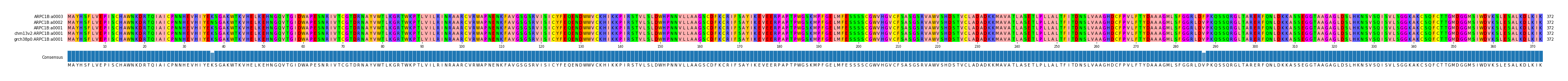 Multiple Alignments (by translate haplotype similarity)