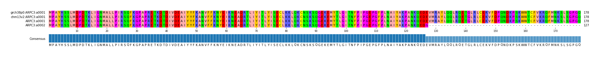 Multiple Alignments (by translate haplotype similarity)