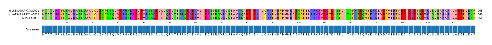 Multiple Alignments (by translate haplotype similarity)