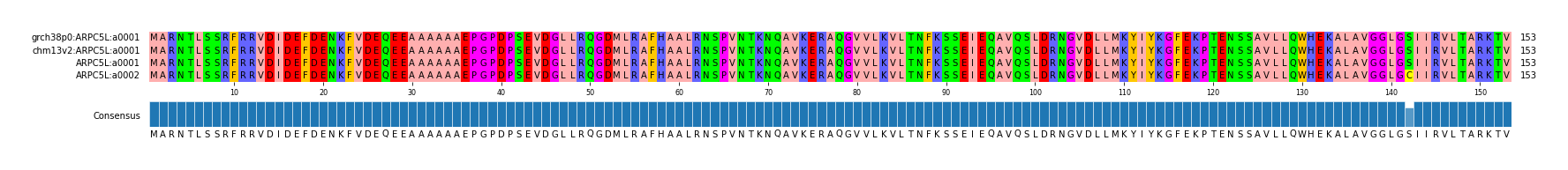 Multiple Alignments (by translate haplotype similarity)