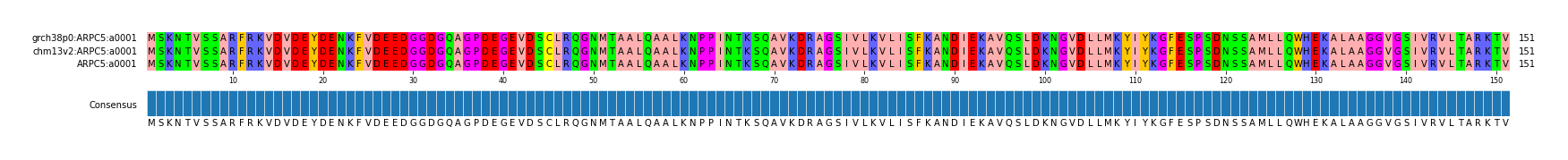 Multiple Alignments (by translate haplotype frequency)