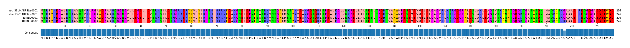 Multiple Alignments (by translate haplotype frequency)