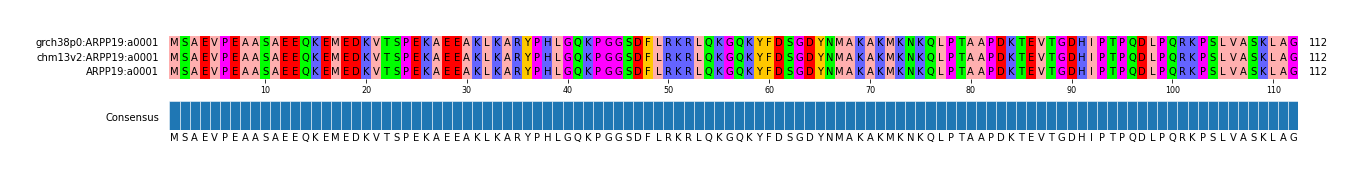 Multiple Alignments (by translate haplotype similarity)