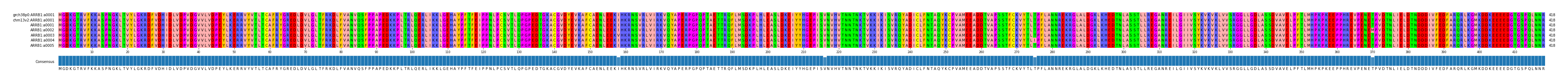 Multiple Alignments (by translate haplotype frequency)