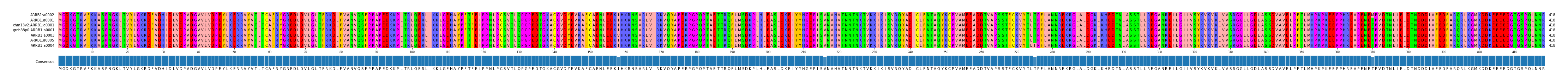 Multiple Alignments (by translate haplotype similarity)