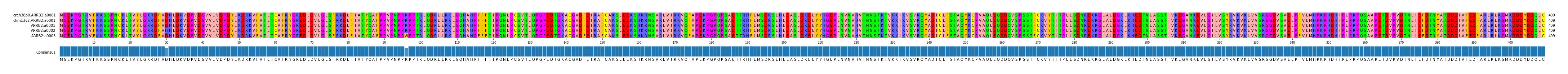Multiple Alignments (by translate haplotype frequency)