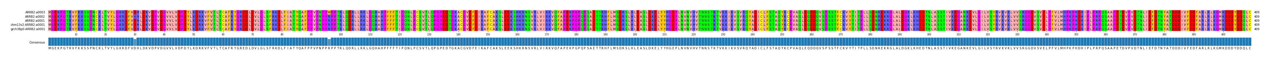 Multiple Alignments (by translate haplotype similarity)