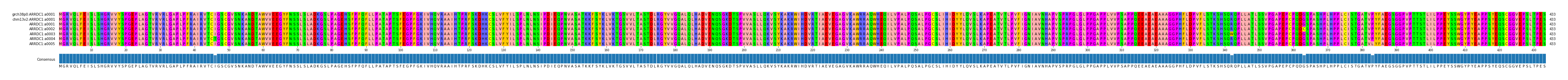 Multiple Alignments (by translate haplotype frequency)