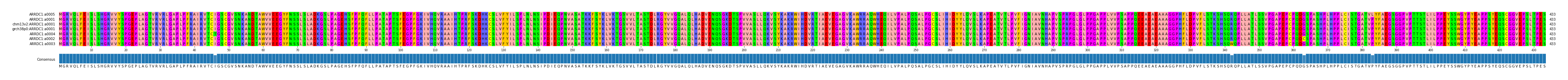 Multiple Alignments (by translate haplotype similarity)
