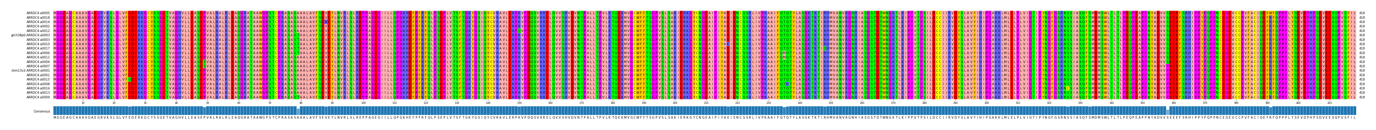 Multiple Alignments (by translate haplotype similarity)