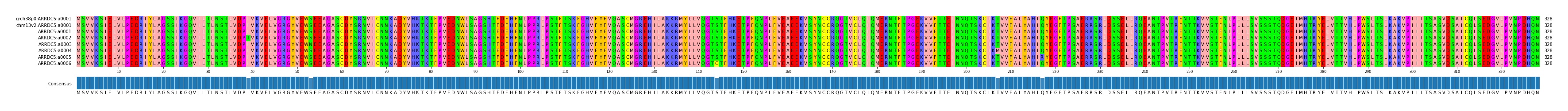 Multiple Alignments (by translate haplotype frequency)