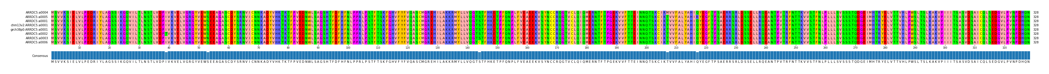 Multiple Alignments (by translate haplotype similarity)