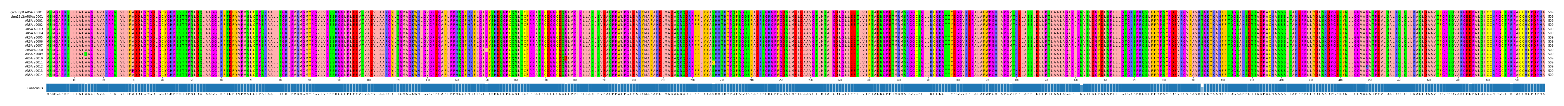Multiple Alignments (by translate haplotype frequency)