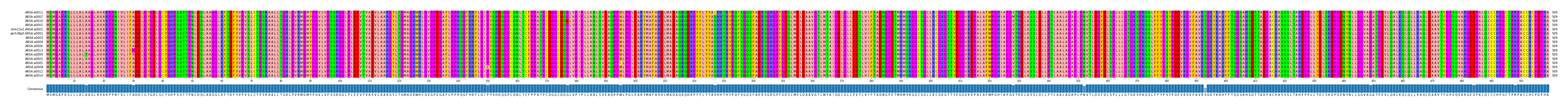 Multiple Alignments (by translate haplotype similarity)