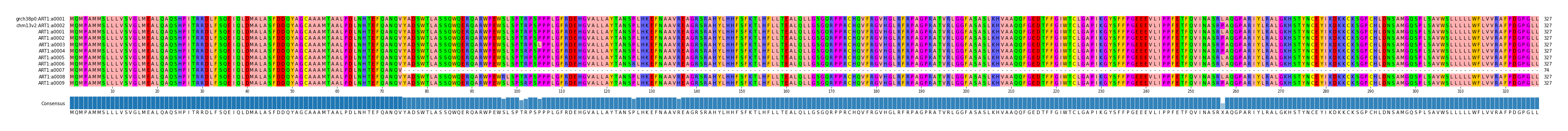 Multiple Alignments (by translate haplotype frequency)