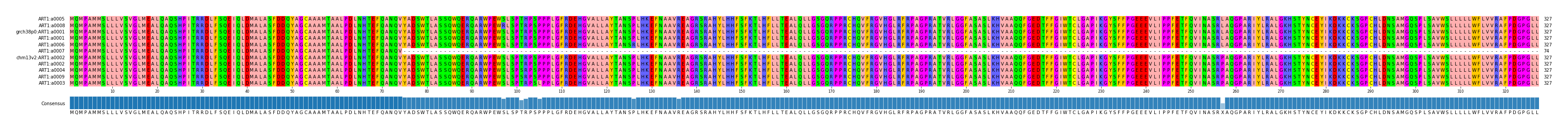 Multiple Alignments (by translate haplotype similarity)