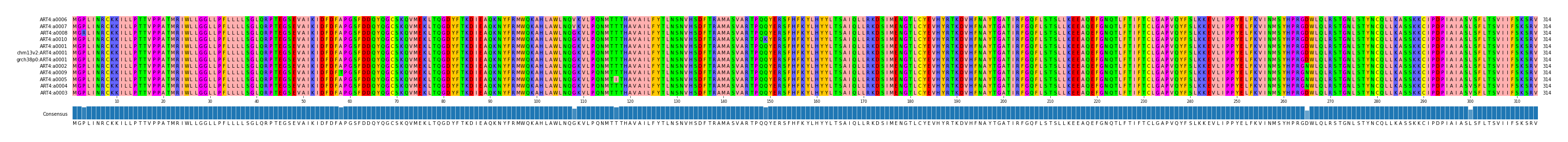 Multiple Alignments (by translate haplotype similarity)