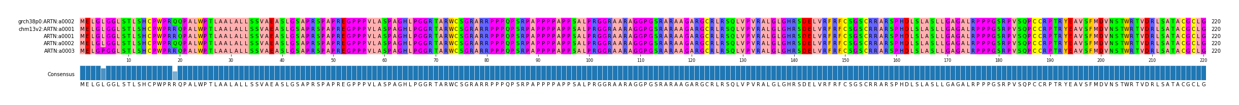 Multiple Alignments (by translate haplotype frequency)