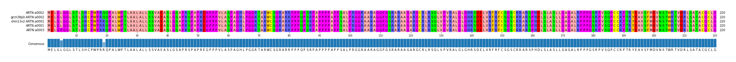 Multiple Alignments (by translate haplotype similarity)