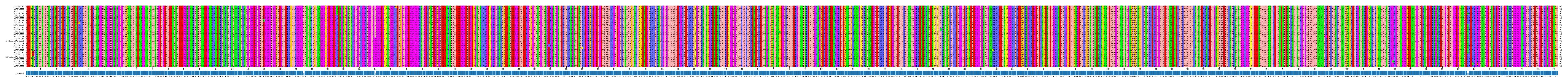Multiple Alignments (by translate haplotype similarity)