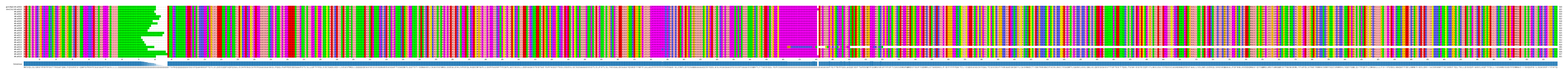 Multiple Alignments (by translate haplotype frequency)