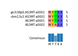 Multiple Alignments (by translate haplotype similarity)