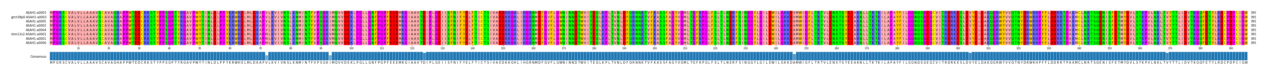 Multiple Alignments (by translate haplotype similarity)