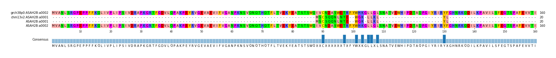 Multiple Alignments (by translate haplotype frequency)