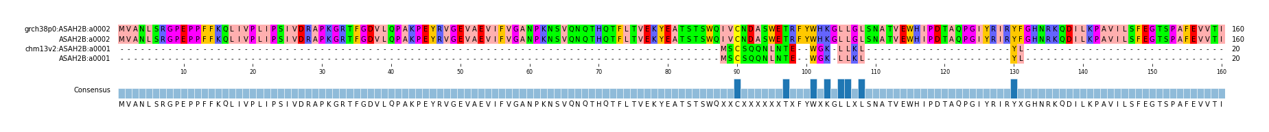 Multiple Alignments (by translate haplotype similarity)