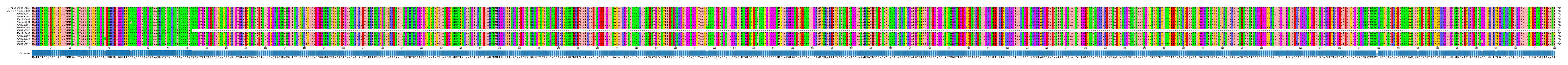 Multiple Alignments (by translate haplotype frequency)