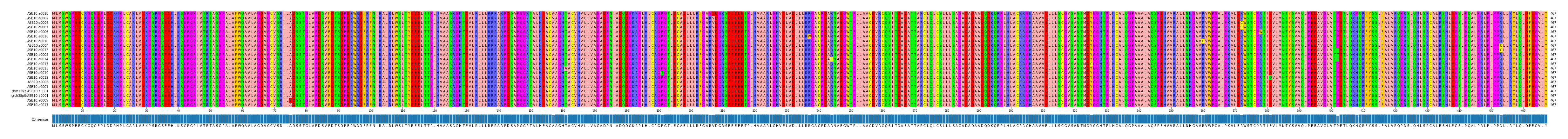 Multiple Alignments (by translate haplotype similarity)