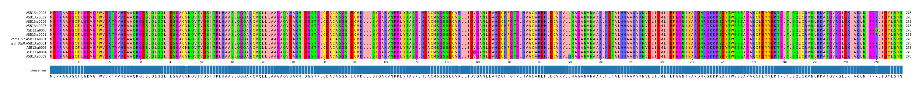 Multiple Alignments (by translate haplotype similarity)