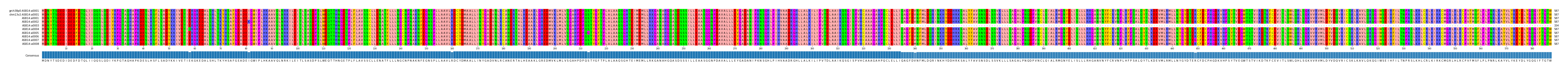 Multiple Alignments (by translate haplotype frequency)