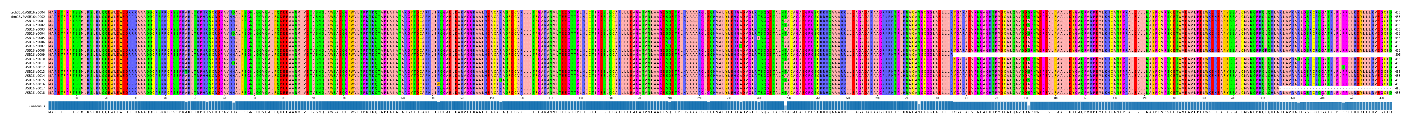Multiple Alignments (by translate haplotype frequency)