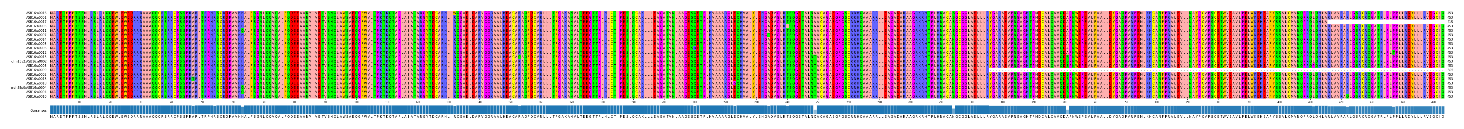 Multiple Alignments (by translate haplotype similarity)
