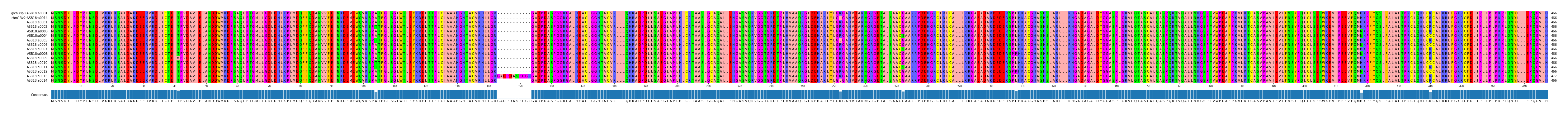 Multiple Alignments (by translate haplotype frequency)