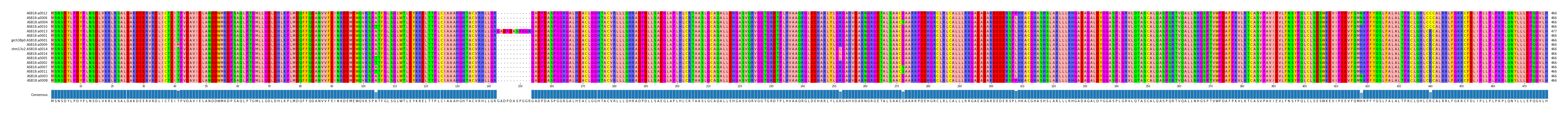 Multiple Alignments (by translate haplotype similarity)
