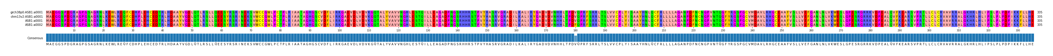 Multiple Alignments (by translate haplotype similarity)