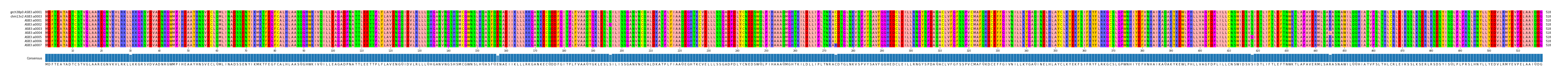 Multiple Alignments (by translate haplotype frequency)