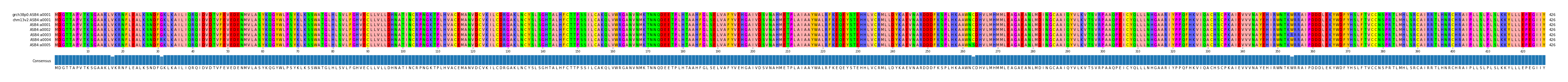 Multiple Alignments (by translate haplotype frequency)