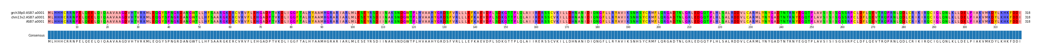 Multiple Alignments (by translate haplotype similarity)